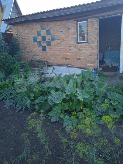 Дача 12 м² на участке 7,3 сот.