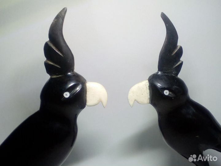 Попугаи статуэтки, фигурки натуральная кость 24см