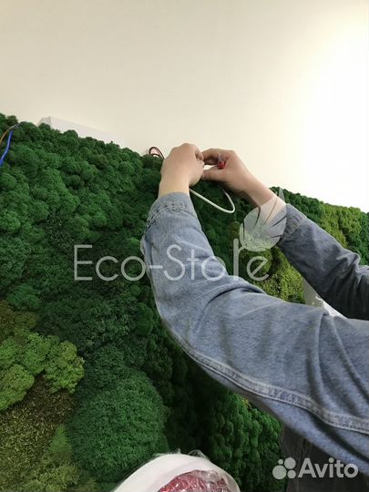 Лого из стабилизированного мха. Панель из мха