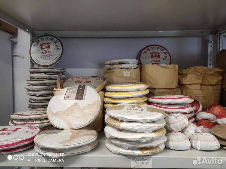 Шу пуэр (древние деревья)