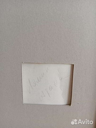 1980 Лямин Н.В. 