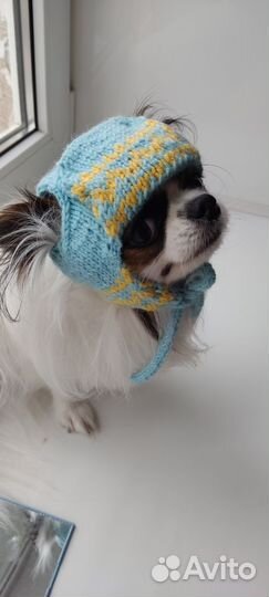 Одежда для маленьких собак