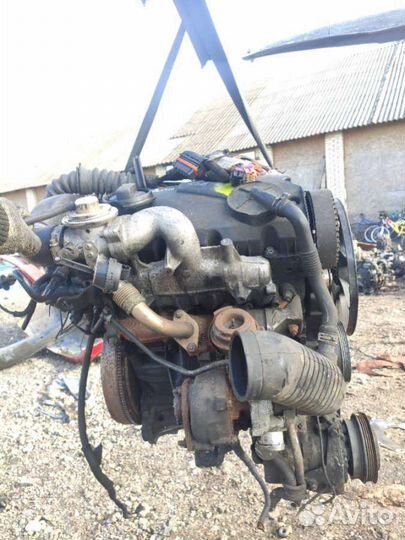 Avb Двигатель Volkswagen Passat B5 2002 1.9 дизель