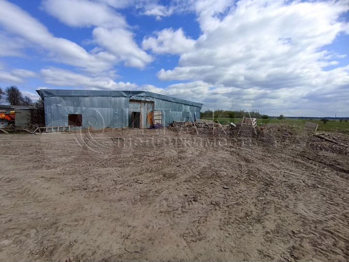 Участок 65 сот. (личное подсобное хозяйство (лпх))