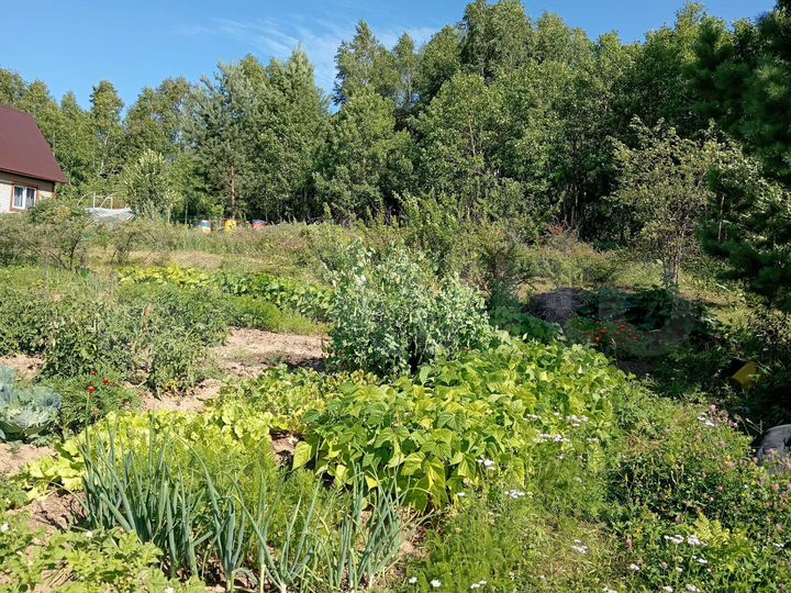 Участок 8,5 сот. (СНТ, ДНП)