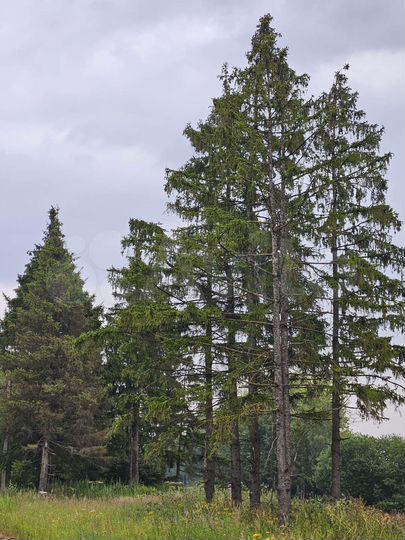 Дом 70 м² на участке 6 сот.