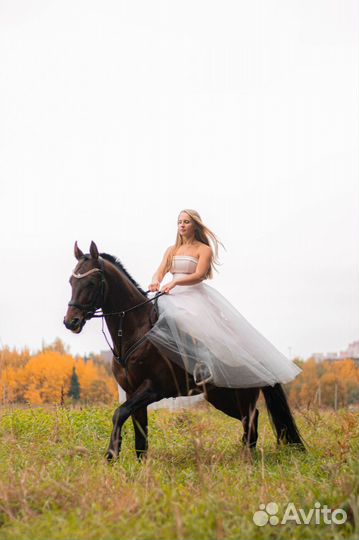 Фотосъёмка животных мероприятия