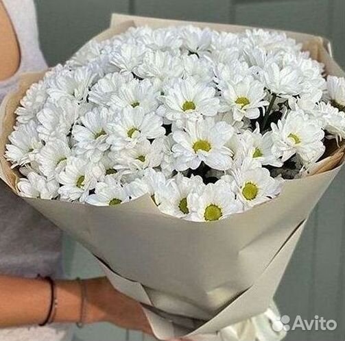 Хризантема. Букеты Цветы доставка