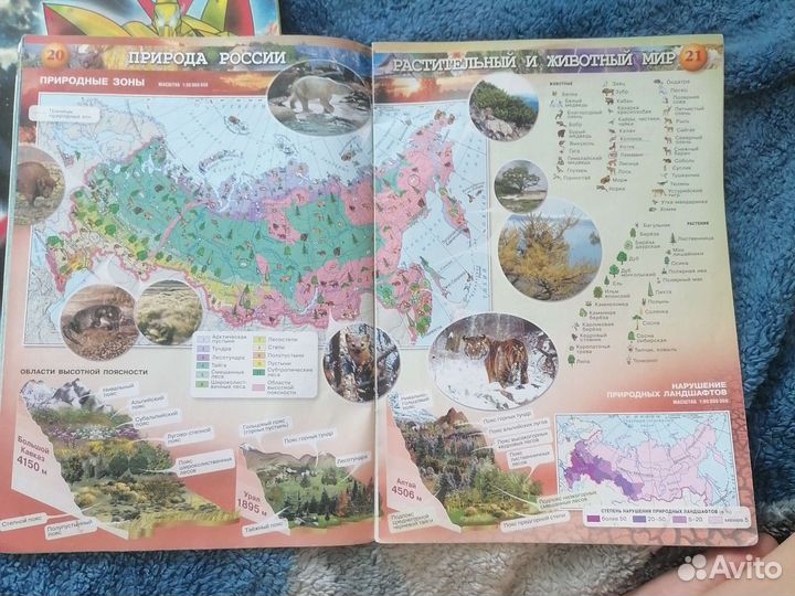 Атлас по географии 8 9 класс