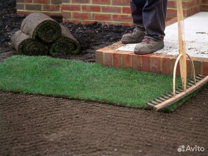 Рулонный газон