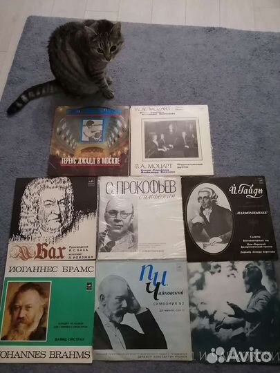 Виниловые пластинки (классика)