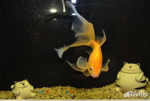 Каменная глина. Пленка Oracal