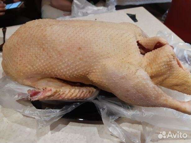 Мясо домашнего бройлера