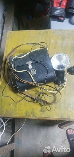 Фотовспышка чайка