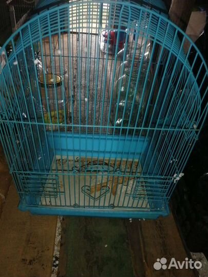 Клетка для попугая бу