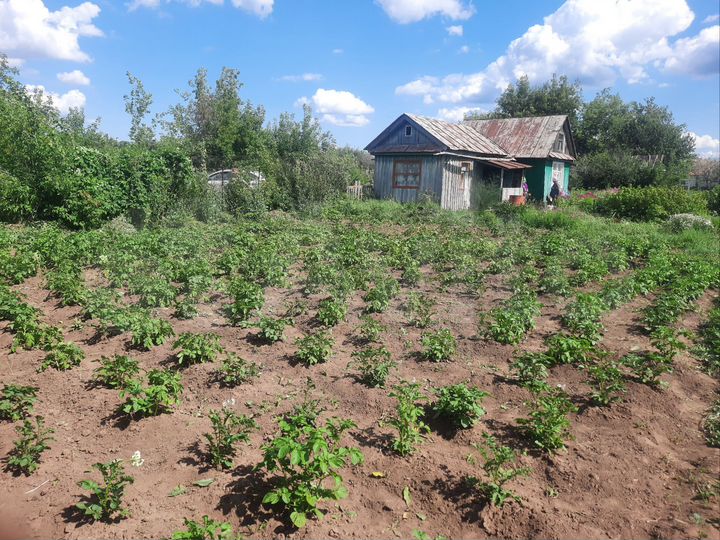 Участок 8 сот. (СНТ, ДНП)