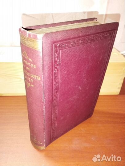 Chronicles of the Schonberg-Cotta family