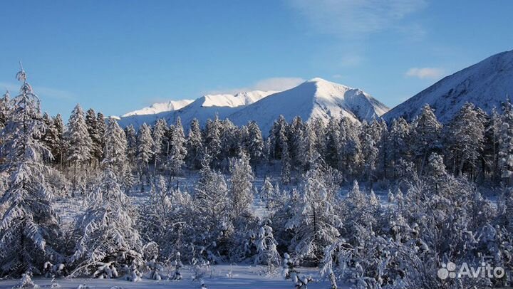 Видеомонтаж, Фотомонтаж, создание фильмов