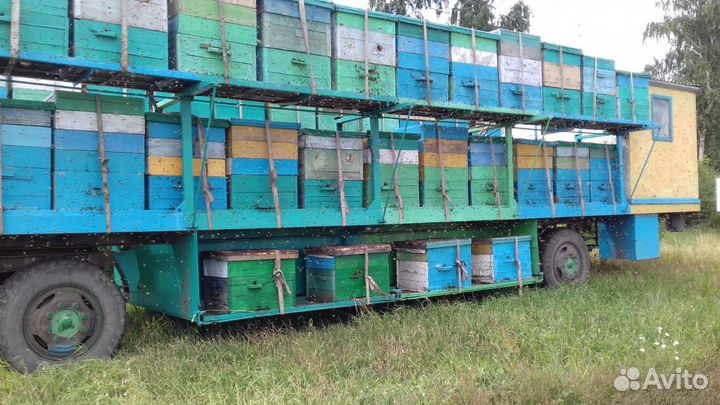 Платформа для пчел