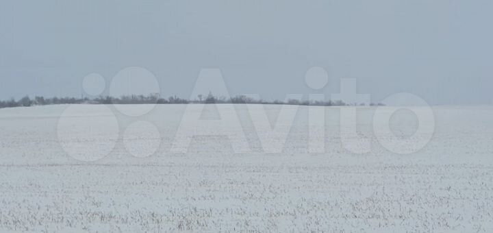 Участок 5,6 га (ИЖС)