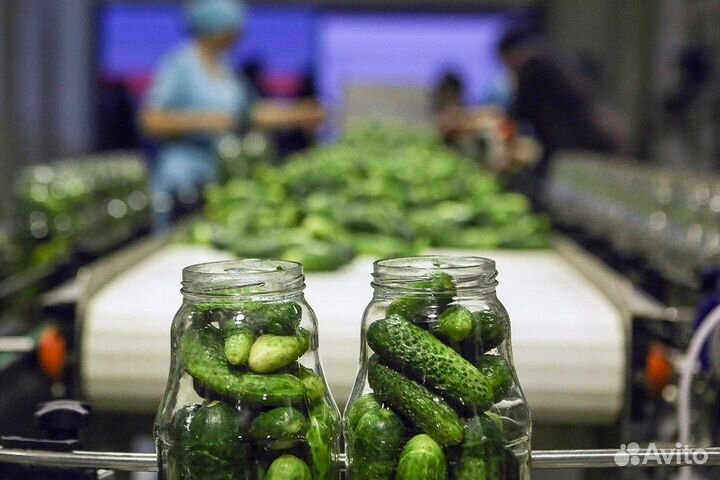 Укладчик овощей ст.Новоминская Вахта