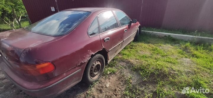 Кузовные запчасти Хонда accord