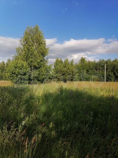 Участок 10 сот. (СНТ, ДНП)