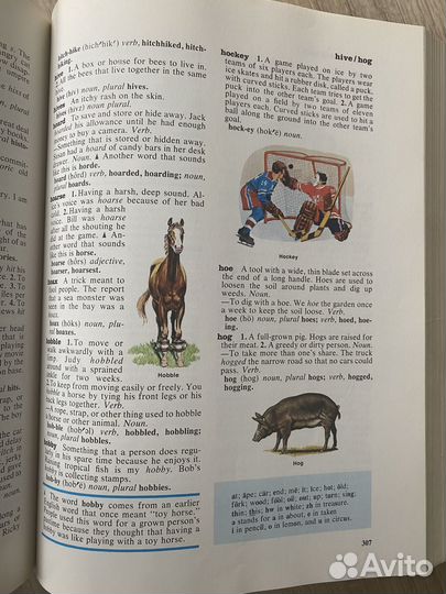 Маcmillan Dictionary