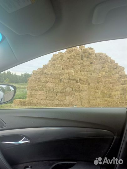 Сено в квадратных тюках