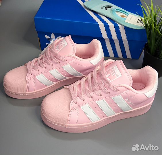 Adidas superstar хит сезона