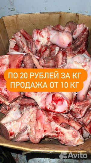 Мясо для собак