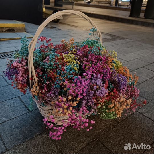 Цветы гипсофилы