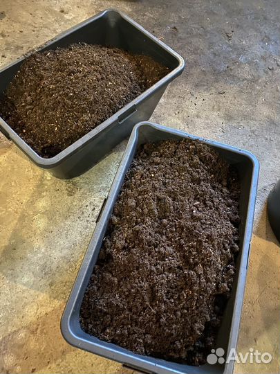 Конский навоз экологичное удобрение перегной