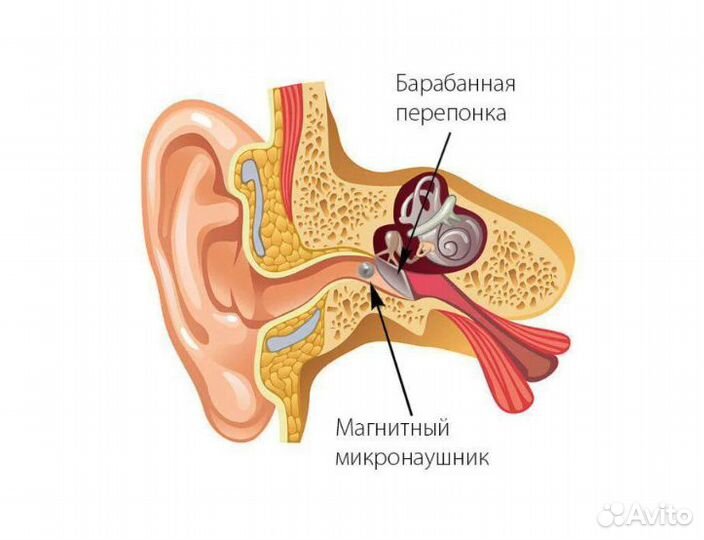 Микронаушники для экзаменов