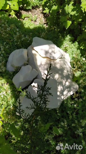 Кусковой природный мел