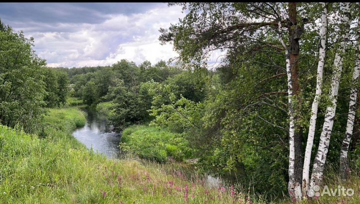 Отдых на природе фотосессия в русских