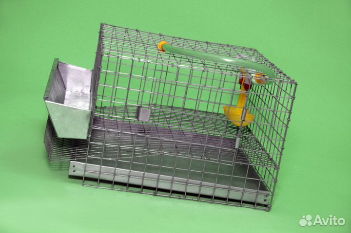 Клетка для перепелов на 10 голов
