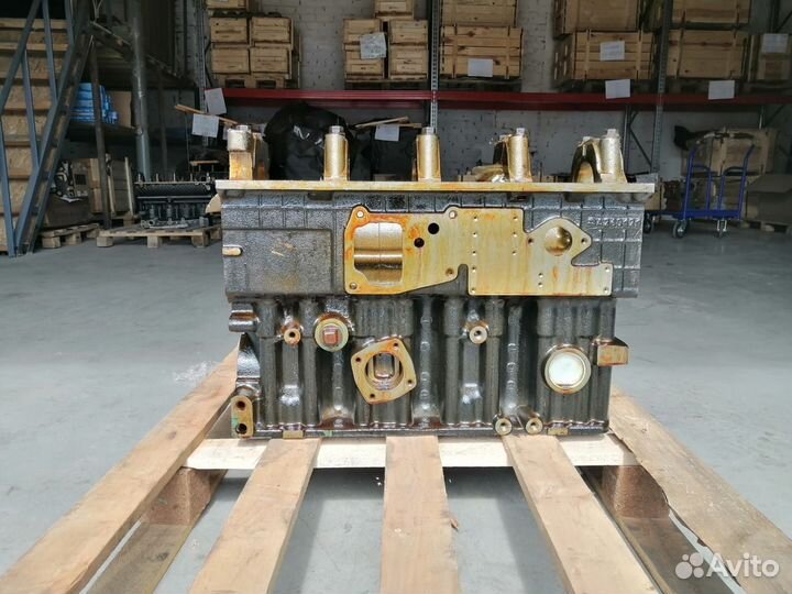 Блок цилиндров 245-1002001-05 ммз