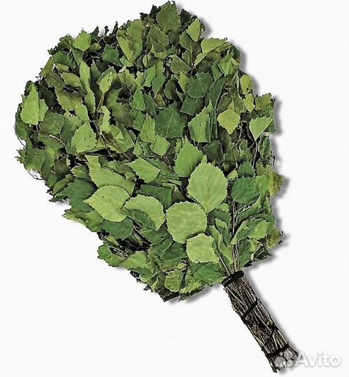 Березовый веник / Веник для бани