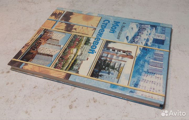 Мой Стрежевой / А. Ф. Выходцев