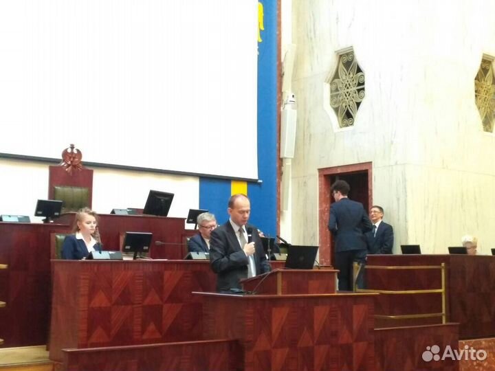 Переводчик польского языка (+звонки в Польшу)