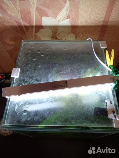 Аквариум