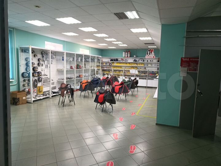 Торговая площадь, 285.6 м²