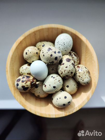 Яйца перепелиные фермерские