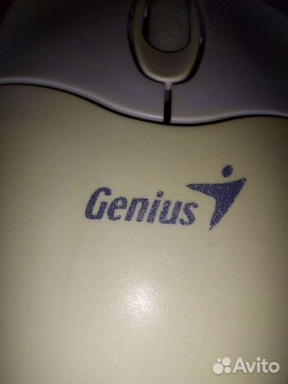 Компьютерная мышь Genius Net Scroll+