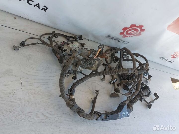 Toyota Land Cruiser 200 4.6 Проводка мотора