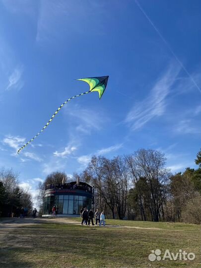 Воздушный змей огромный Орел 2-метровый и др