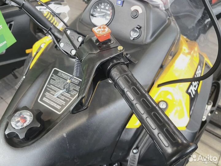 Снегоход Тикси(Tiksy) 250 lux Витринный