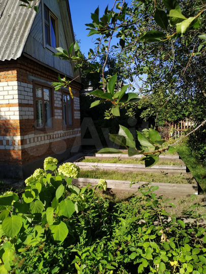 Дача 64 м² на участке 3,1 сот.