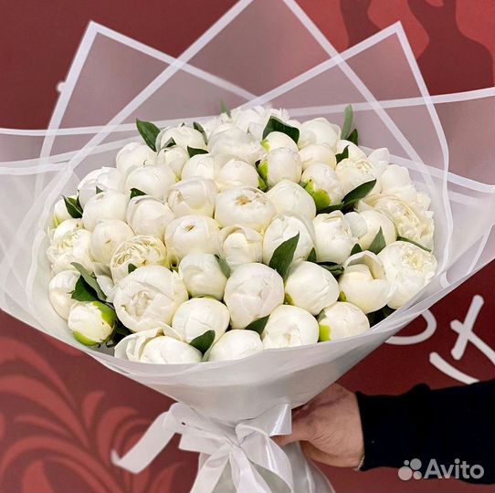 Пионы Букет пионов 25 11 19 9